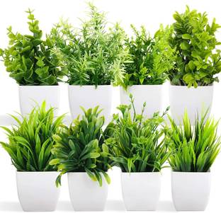 Dekorly Potted Plants Plastic Eucalyptus (PACK OF 8) Bonsai Wild Artificial Plant  with Pot