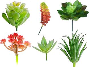 TIED RIBBONS Artificial Succulent Plants (Pack of 6) Small Plant for Home Decoration Wild Artificial Plant