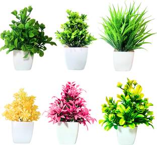 DecoMuse Mini/Small Pack of 6 Bonsai Wild Artificial Plant  with Pot