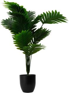 GLAMIFY Artificial Palm Plant with White Pot – 75 cm Artificial Plant with Pot Bonsai Wild Artificial Plant  with Pot
