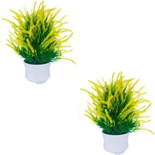 bloomings Bonsai Artificial Plant  with Pot