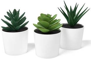 Paperi Artificial Potted Plant with Pot, in/Outdoor Succulent Artificial Plant  with Pot