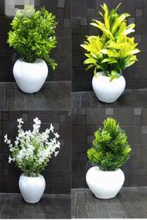 Dev creations Ytc Artificial Plant with Pot (15 cm, Green) Bonsai Wild Artificial Plant  with Pot