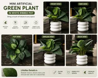 INFINITY WORLD Premium Artificial Pothos Plant with White Ring Decorative Planter Artificial Plant  wi...