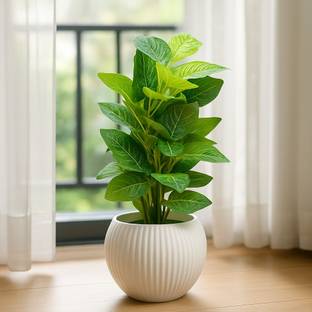 DD Enterprises Artificial Green Leaf Plant in White Ribbed Pot for Home Office Table Decoration Artificial Plant  with Pot