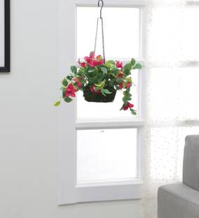ARICKDECOR Artificial Bougainvillea Plant with Hanging Basket for Home Décor (40 cm Tall, Bonsai Wild Artificial Plant  with Pot