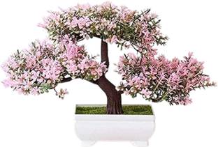 Satyam Kraft 1 Piece Artificial Bonsai Tree with Designer Pot for Home Decoration Bonsai Artificial Plant  with Pot