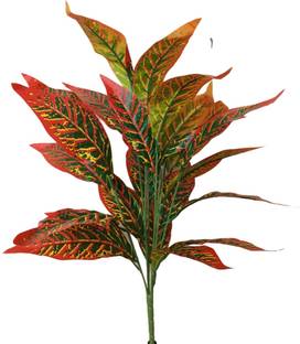 STE Artificial plant_ CROTON_72 cm_without Pot_pack of 1 Artificial Plant
