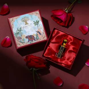ATARSTORY Rose Oudh Best Luxury Attar | Long Lasting Fragrance | Alcohol Free Herbal Attar