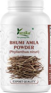 yuvika Bhumi Amla Powder - Phyllanthus Niruri - Fillanto Niruhi