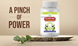 Gunmala Enterprises dental pain medicine | dant prabhakar manjan - 100 g