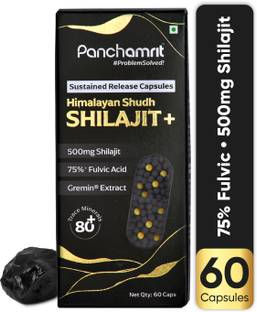 Panchamrit 500mg Himalayan Pure Shilajit Capsule for 2X Stamina & Strength|Ayurvedic Tablet