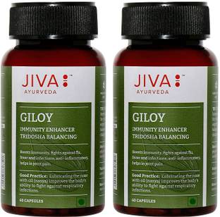 JIVA Giloy Capsule - Immunity Booster - 60 Capsules - Pack of 2