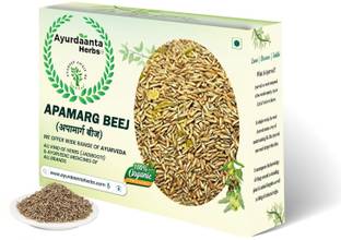 Ayurdaanta Herbs Apamarg Beej/Apamarg Seed(EADIBLE-GRADE-1)100Gr|Latjira Beej| Chirchita 100Gr