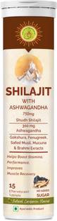 JIVAN SHREE Shilajit Effervescent Tablets, with Ashwagandha, Safed Musli, Macuna, Cardamom