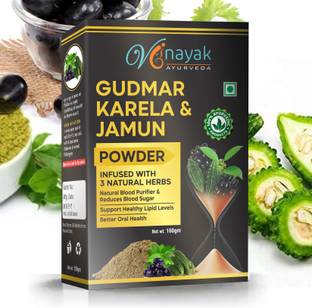 VINAYAK AYURVEDA Gudmar Karela Jamun Powder for Blood Sugar Wellness Boost