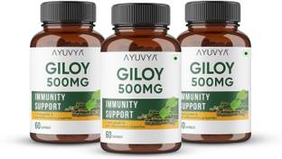 Ayuvya Giloy Capsules - 500mg For Support Immunity & Purifying Blood