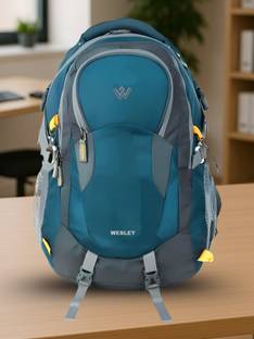 WESLEY Unisex Travel Rucksack hiking laptop bag fits upto 17.3 inch with Raincover and internal organi...