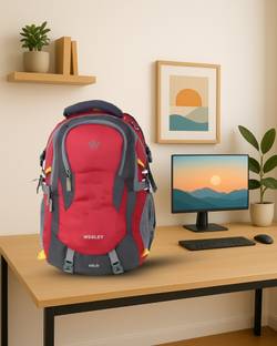 WESLEY internal organiser backpack Rucksack College bag 45 L Laptop Backpack