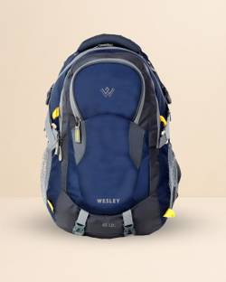 WESLEY Unisex Travel hiking laptop bag fits upto 17.3 inch with Raincover and internal organiser backp...