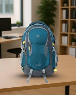 WESLEY Unisex Travel Rucksack hiking laptop bag fits upto 17.3 inch with Raincover and internal organi...
