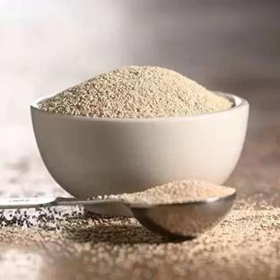 Bharvi Khamir Powder for Baking, Bread, Cake, Pizza & Dough Dry Yeast Powder Dry Yeast Powder