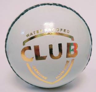SHASPO White Cricket Leather Ball