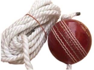Weber Tough Leather Cricket Hanging Ball Red ,For Shot Practice , 1 Ball , ki8 Cricket Training Ball