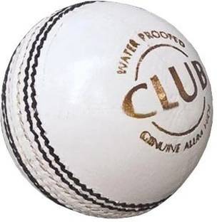 HRetails Best Quality Ball Cricket Leather Ball