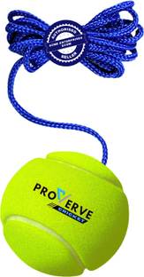 proverve Cricket Tennis Hanging Practice ball Heavy for Indoor/Outdoor Knocking Cricket Training Ball