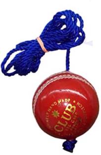 Weber XZSI- Leather Cricket Hanging Ball Red For Shot Practice , 1 ball dr27 Cricket Training Ball