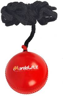 MINIBLITZ Practice Hanging Cricket ball For Bat Knocking Cricket Training Ball Tennis Ball