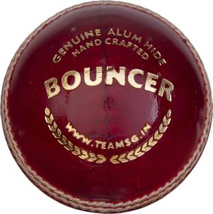 SG BOUNCER Cricket Leather Ball