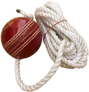 OmStore Om Season Hanging Ball Cricket Training Ball