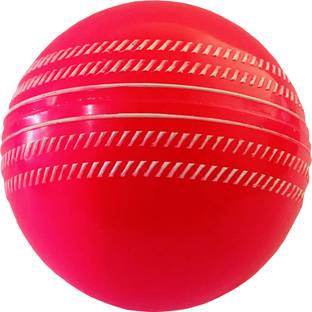 S N INTERNATIONAL cricket ball Cricket Rubber Ball