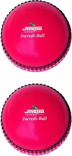 Jaspo Incredi Ball Soft T-20 Training for Indoor/Outdoor Cricket (Pink (Pack of 2)) Cricket Synthetic Ball