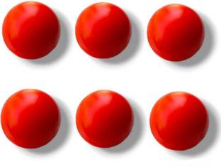 Pawanshut Heavy plastic ball 80gm cricket ball Cricket Training Ball