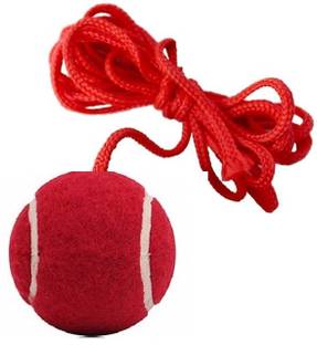 VSC VSCCricket Hanging Tennis Ball , 3.5 Meter Rope Cricket Training Ball