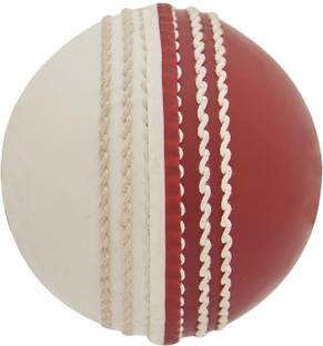 CEELA Pvc Training Cricket Training Ball