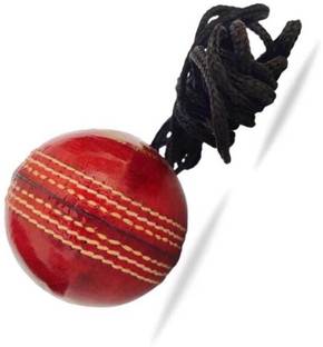 Weber XZSI- Leather Cricket Hanging Ball Red For Shot Practice , 1 ball dr142 Cricket Training Ball