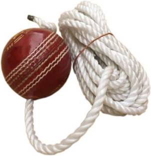 The Bhavya Sports Hanging Cricket Training Ball