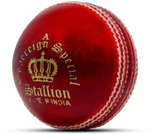 Heega Stallion Cricket Leather Ball