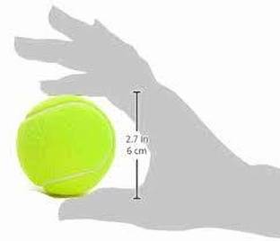 S N INTERNATIONAL Tennis Ball Green Tennis Ball