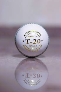 LSISPORTS WHITE T-20 BALL Cricket Leather Ball