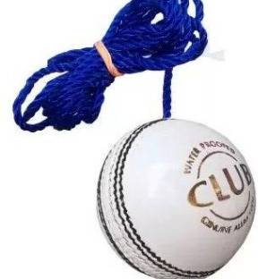 shree ji spots APS Cricket Hanging Ball Cricket Leather Ball