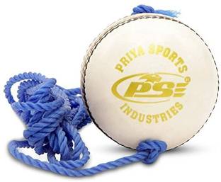 Luxuro Practice - White Hanging Ball Standard Bail