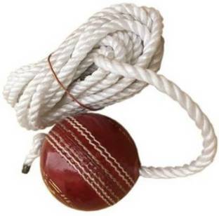 RnB RUSHI INDUSTRIES Hanging Practice Leather Ball Cricket Training Ball