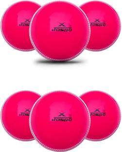 Jaspo T-20 Pink Soft Cricket Training Ball