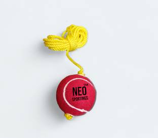 NSP Neo Hanging Hard Tennis Ball Cricket Tennis Ball