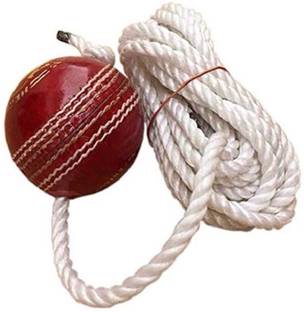 nizex XVZ-Leather Cricket Hanging Ball Red For Shot Practice , 1 Ball Pack h38 Cricket Training Ball